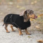 Hjyokuso Hundemantel für Dackel – Wasserdicht & Winddicht mit Bauchschutz – Bild 8