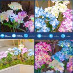 DooYard Solar Hortensie Gartenleuchten 3er Set – Farbwechsel & Zwei Lichtmodi – Bild 6