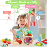 COOLJOY 8-in-1 Montessori Holzspielzeug – Motorik & STEM Lernspiel für Kinder ab 1 Jahr – Bild 4