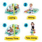 Baby Einstein Farm Explorers 4-in-1 Spielbogen – Musik- & Sprachlernmatte für Babys 0–36 Monate – Bild 3