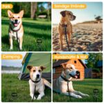 Vehepeay Bodenanker Hund ø12mm – Spiralanker bis 100kg für sicheres Anbinden – Bild 6