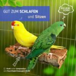 Vogelgaleria Korksitzbrett groß 20x10 cm – Natürliche Schnabel- & Krallenpflege für Wellensittiche & Papageien – Bild 6