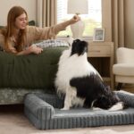BEDSURE Orthopädisches Hundebett 89x64cm – Memory-Schaum Hundesofa für grosse Hunde – Bild 8