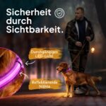 Tierhood LED Leuchthalsband Hund Größe S – Aufladbar, 3 Modi, Wasserdicht – Bild 2
