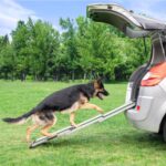 PRIORPET Hunderampe Auto Klappbar – Stabile Einstiegshilfe bis 90kg für grosse Hunde – Bild 9
