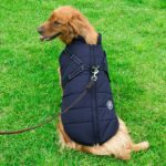 Aiboria Hundejacke L – Winddicht & Wasserdicht Wintermantel für kleine Hunde – Bild 2