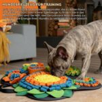 PetGens Schnüffelteppich 57x57 cm – Trainingsmatte für Hunde mit rutschfester Unterseite – Bild 5