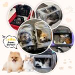 Lohofrnny Transporttasche für Katzen & kleine Hunde – faltbar, bis 8 kg, Schwarz – Bild 8