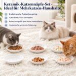 AHX Keramik-Katzennäpfe Set 6er – Schnurrhaarfreundlich & spülmaschinenfest – Bild 7