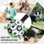 HETOO Hundeball mit Seil (M Grün) – Interaktives Hundespielzeug für Outdoor & Indoor – Bild 6