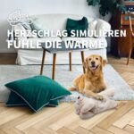 ALL FOR PAWS Little Buddy Hundespielzeug Bär – Kuscheliges Spielzeug für kleine Hunde – Bild 8
