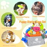 LECHONG 21er Welpenspielzeug-Set mit Aufbewahrungsbox – Zahnungshilfe & Kauspielzeug für kleine Hunde – Bild 3