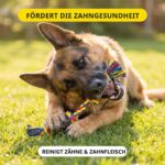 Speedy Panther Baumwollseil-Spielzeug-Set 9-teilig – Kauspielzeug für grosse Hunde – Bild 6