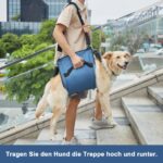 COODEO Hundetragegurt L Blau – Mobilitätshilfe für ältere Hunde & Gelenkprobleme – Bild 2