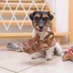 Relaxdays Hundeabsperrgitter Bambus – Ausziehbar bis 118 cm für Treppen & Türen – Bild 5