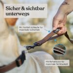 FREUDENTIER Freihandleine 3m – Verstellbare Umhängeleine für Hunde bis 45kg – Bild 3