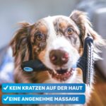 BluePet Fellentwirrer mit Doppelreihen-Pins – Profi-Striegel für Langhaar Hunde & Katzen – Bild 6