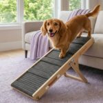 Artpet Klappbare Hunderampe – Höhenverstellbar 34–53 cm für kleine Hunde & Katzen – Bild 2
