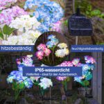 DooYard Solar Hortensie Gartenleuchten 3er Set – Farbwechsel & Zwei Lichtmodi – Bild 4