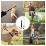 NAILAO Hundehalsband Clips – 2er Set mit Edelstahl & reflektierendem Nylon für sichere Hundeführung – Bild 7