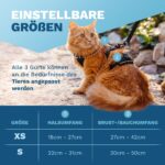 Pets Perfect Katzengeschirr Set Grösse S mit Leine – Ausbruchsicher & verstellbar – Bild 6