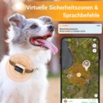 Pawfit 3 GPS-Tracker für Hunde & Katzen – Echtzeit-Ortung mit Weglaufalarm – Bild 3