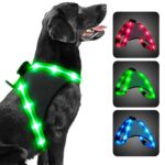 ChalkLit LED Hundegeschirr M – USB-Aufladbar mit 500m Sichtbarkeit, Grün