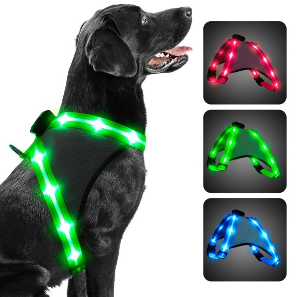 ChalkLit LED Hundegeschirr M – USB-Aufladbar mit 500m Sichtbarkeit, Grün