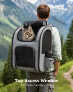 Pecute Haustier-Rucksack XL für Katzen & Hunde bis 10 kg – Atmungsaktiv & Wasserdicht – Bild 3