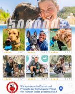 lesotc Hundetrinkflasche 520ml – Tragbar & Auslaufsicher für Unterwegs – Bild 6