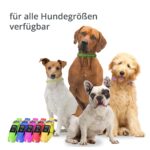 LED Leuchthalsband für Hunde Grösse M – USB-aufladbar mit 10-15h Akkulaufzeit – Bild 4
