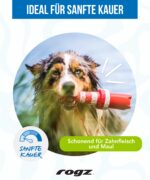 Rogz Lighthouse Wasserspielzeug für Hunde – Schwimmspielzeug mit Schnur & Apportiergriff – Bild 4