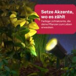 Innr Smart Gartenstrahler 3er-Set RGBW – Zigbee Außenleuchten für Hue & Alexa – Bild 4
