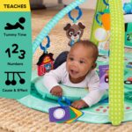 Baby Einstein Farm Explorers 4-in-1 Spielbogen – Musik- & Sprachlernmatte für Babys 0–36 Monate – Bild 9