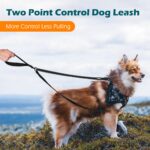 PetBonus No Pull Hundeleine mit Doppelclip – Anti-Zieh Trainingsleine für Hunde – Bild 2