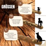 PetLove Olivenholz Kauholz 2er Pack S – Natürlicher Kauknochen für kleine Hunde & Welpen – Bild 3