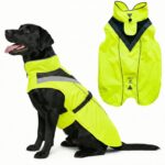 Wasserdichter Hunderegenmantel XL – Reflektierend & winddicht für mittelgrosse Hunde
