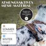 FREUDENTIER Hundegeschirr atmungsaktiv mit Anti-Zug-Funktion – Reflektierend für alle Grössen – Bild 4