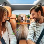 JOEJOY Hundedecke Auto Rückbank 132x63 cm – Wasserdicht & Kratzfest für SUV & Pkw – Bild 5