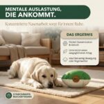 Timbertail Schnüffelball für Hunde – Intelligenzspielzeug mit 8 Fächern für mentale Auslastung – Bild 4