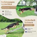 PRIORPET Teleskop Hunderampe Auto – Klappbar & rutschfest für grosse Hunde bis 90kg – Bild 9