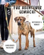 Rudelkönig Emma Tauleine 2,30m Grün – Verstellbare Hundeleine mit Leder & Karabiner – Bild 2