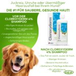 ICF Clorexyderm 4% Hundeshampoo & Katzenshampoo – Tiefenreinigung & Geruchsentfernung 250 ml – Bild 4