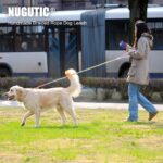NUGUTIC Hundeleine 1,5 m – handgefertigtes Baumwollseil mit Komfortgriff für alle Hunderassen – Bild 7