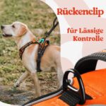 rabbitgoo Hundegeschirr L Orange – Anti-Zug mit 3 Schnallen für grosse Hunde – Bild 7