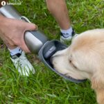 LumoLeaf Hundetrinkflasche 800ml – 2-in-1 Edelstahl Wasserspender für Reisen & Wandern – Bild 2