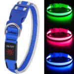 Colaseeme LED-Leuchthalsband Hund M – USB-C aufladbar, 3 Leuchtmodi, wasserdicht