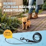 Pets Perfect Katzengeschirr Set Grösse S mit Leine – Ausbruchsicher & verstellbar – Bild 5