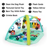 Baby Einstein Farm Explorers 4-in-1 Spielbogen – Musik- & Sprachlernmatte für Babys 0–36 Monate – Bild 4