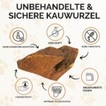 Wildfang® Kauwurzel Grösse M aus Baumheide – Natürliches Kauspielzeug für Hunde 15–25 kg – Bild 6